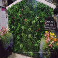 Indoor outdoor DIY green customized wall plastic for decoration